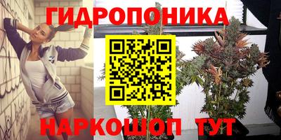 ПСИЛОЦИБИНОВЫЕ ГРИБЫ Будённовск