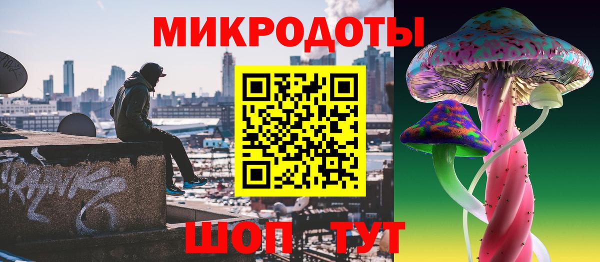 Петропавловск-Камчатский  Псилоцибиновые грибы Cubensis  Вход с VPN 
