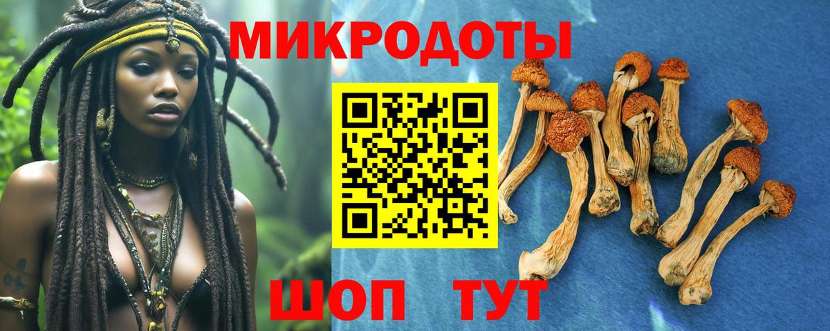 Галлюциногенные грибы MAGIC MUSHROOMS Петропавловск-Камчатский